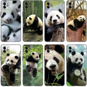 Funda Para Móvil Iphone De Oso Panda