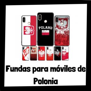 Lee más sobre el artículo Las mejores fundas para móviles de Polonia
