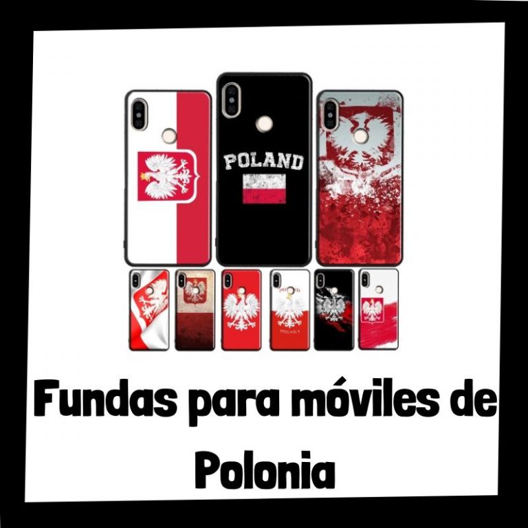 Lee más sobre el artículo Las mejores fundas para móviles de Polonia